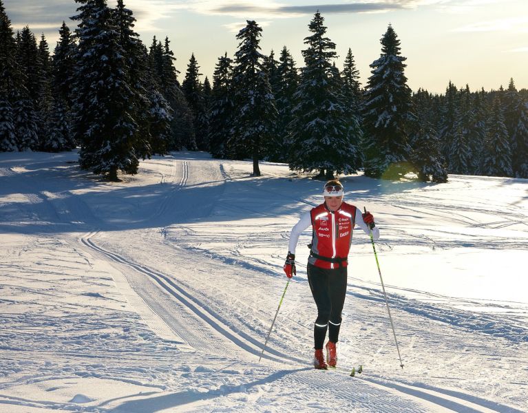 zimske olimpijske igre, uživajte u alpskom skijanju, skijaškom trčanju i hokeju